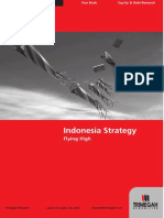 TRIM-Indonesia Strategy 2007