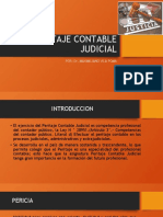  - PERITAJE CONTABLE JUDICIAL