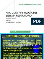 Diapositivas. Sistema Respiratorio PDF