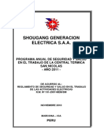 Programa_anual_seguridad_salud_2011.pdf