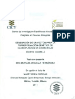 PCB_M_Tesis_2011_Max_Apolinar_Hernandez (3).pdf