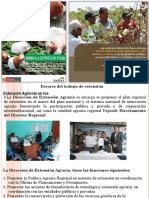 Errores del trabajo de extensión..pdf