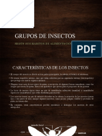 Grupos de Insectos Según Sus Habitos de Alimentación