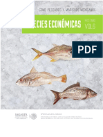 Recetario Vol. 06b - Especies Economicas - SAGARPA PDF
