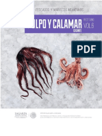 Recetario Vol. 06d - Pulpo y Calamar - SAGARPA.pdf