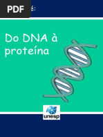 Do DNA à Proteína