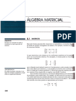 algebra matricial.pdf