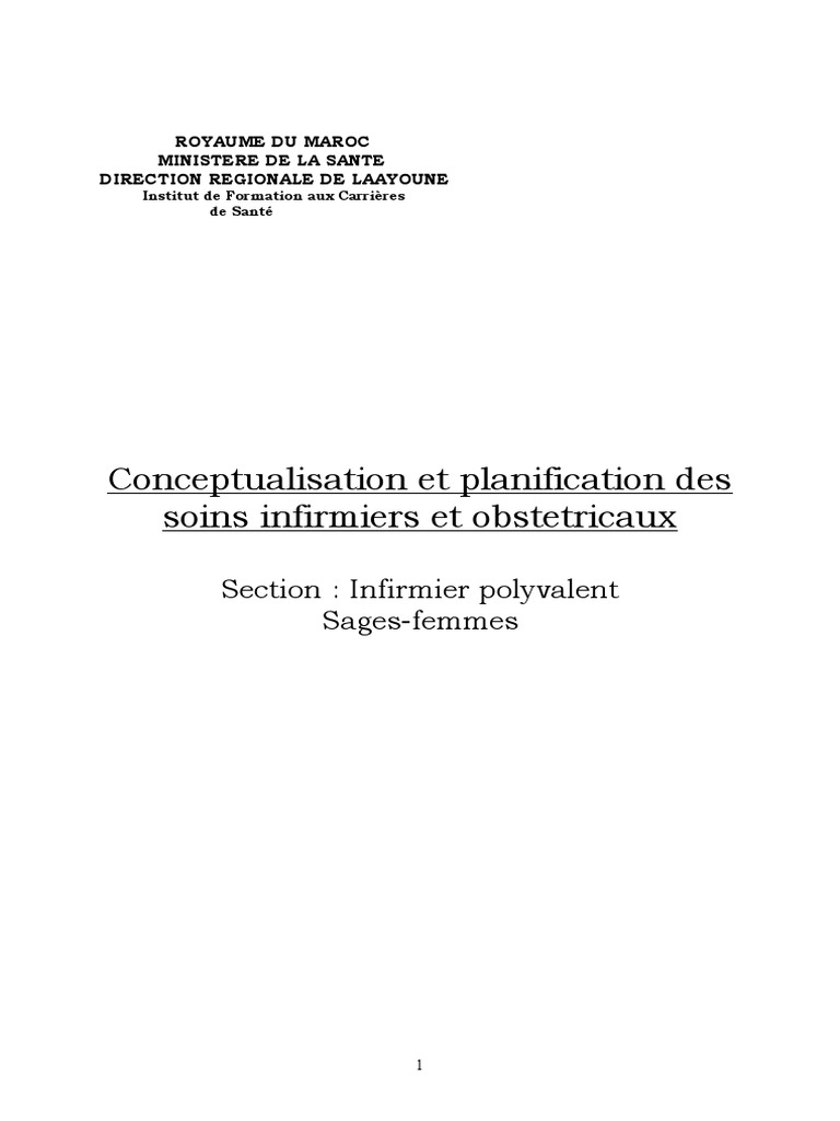 Dictionnaire Des Concepts En Soins Infirmiers Pdf Gratuit Conceptualisation Des Soins Inf | PDF | Allaitement | Motivation