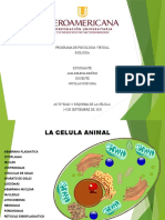 La Celula Animal