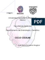 Ciclo-celular-Rene-Escalona.pdf