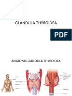 Glandula Thyroidea