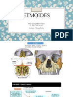 Anatomía del hueso etmoides