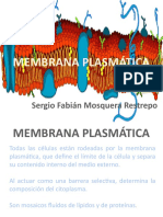 Presentación Membrana Plasmática