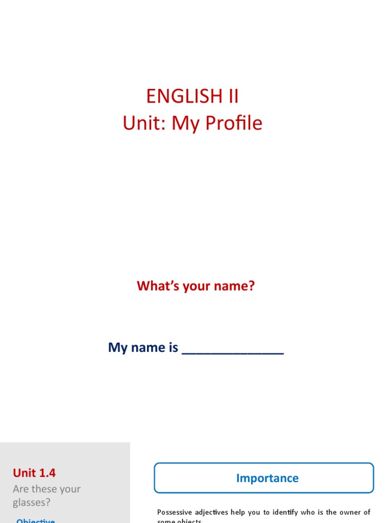 Mastering Possessive Adjectives in English | PDF