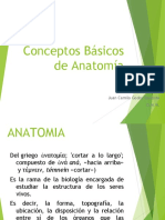 Conceptos Básicos de Anatomía.ppt