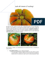 Cracking y Microcracking en Solanaceas y Citricos