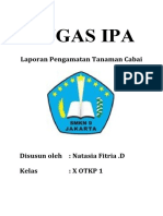 Ipa Makalah Laporan Pengamatan