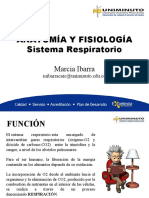 Sistema Respiratorio