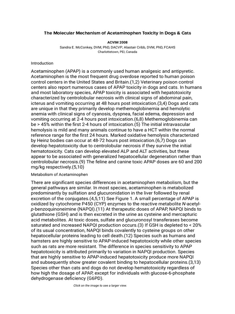 Stunning Acetaminophen Toxicity In Dogs With Pneumonia image
