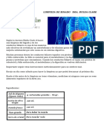 05 Limpieza de Higado