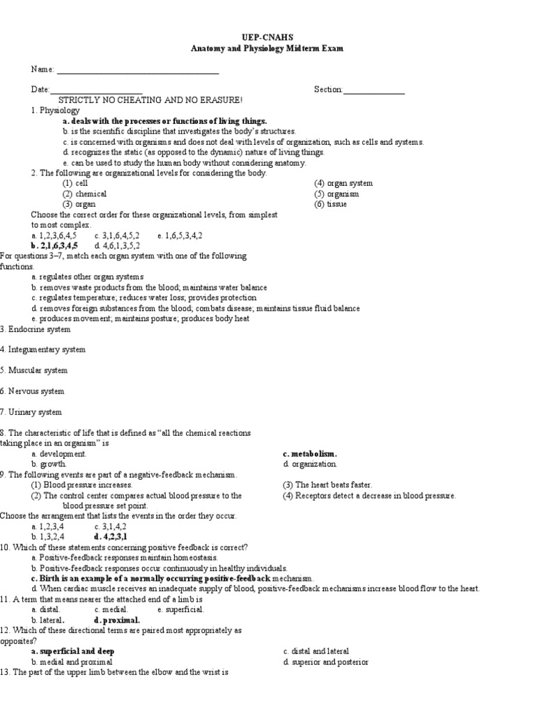 Anatomy and Physiology Exam Compilations | PDF | Epithelium | Bone