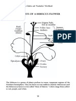 The Parts of A Hibiscus Flower: A Chakra An 1 Un Al (N ('Workbook