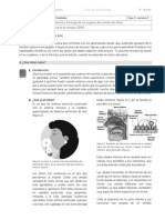 CUARTO GRADO F3 S 3 4 Y 5.pdf