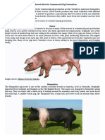 10 Pig Breeds Best for Commercial Pig Production.docx