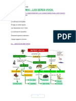 Tema 3 Las Plantas