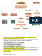 Mapa Conceptual Contaminantes Biologicos Organicos