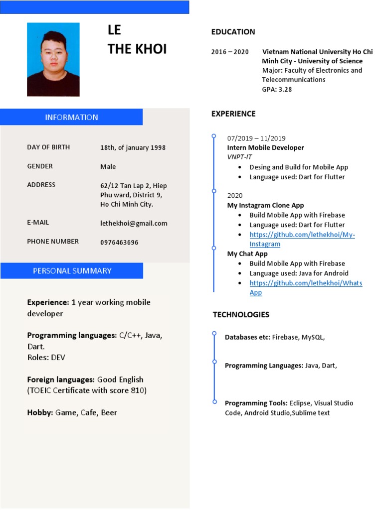 Mobile Developer Resume Summary | PDF