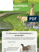 Cum Imbunatatim Propozitiile - Prezentare PowerPoint