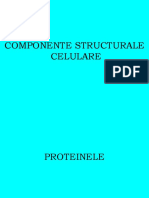Biochimie Generala-Curs DR. Vasilescu Leonard PDF