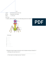 Tugas Biologi 3