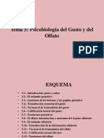 Tema 5 Gusto y Olfato