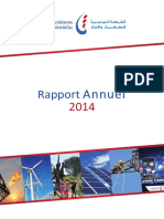 Rapport Annuel STEG 2014 FR