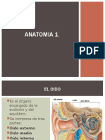 El Oido (Anatomía I) .