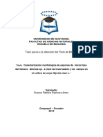 Tesis Final PDF