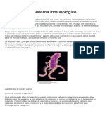 El Sistema Inmunológico PDF