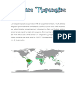 trabajo grupal_ bosques tropicales .pdf