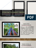Fun Facts About Trees (Calincov)