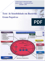 Teste - Sensibilidade - Bacterias - Gram - Negativas - Eliete