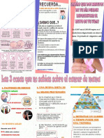 Folletocancerdemama 141202155359 Conversion Gate02 PDF