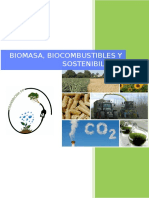 Biomasa, Biocombustibles y Sostenibilidad.pdf