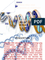 Rekombinasi Dna Dan Rekombinasi Makhluk Eukariot