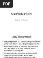 Multimedia System: Safeen H. Rasool