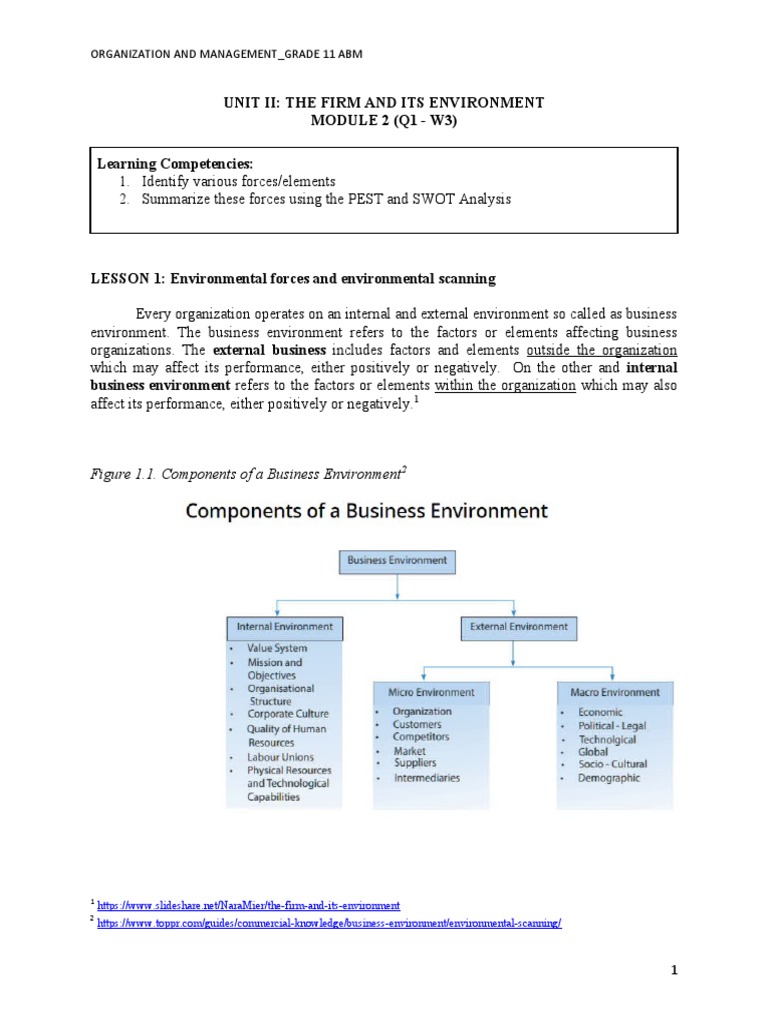 Environmental Scanning in Business | PDF | Swot Analysis | Business