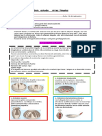 2° Artes 24 de Septiembre PDF