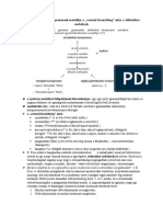 8.-A-grammatikai-komponensek-modellje....docx