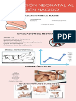 Adaptación Neonatal Al Recién Nacido